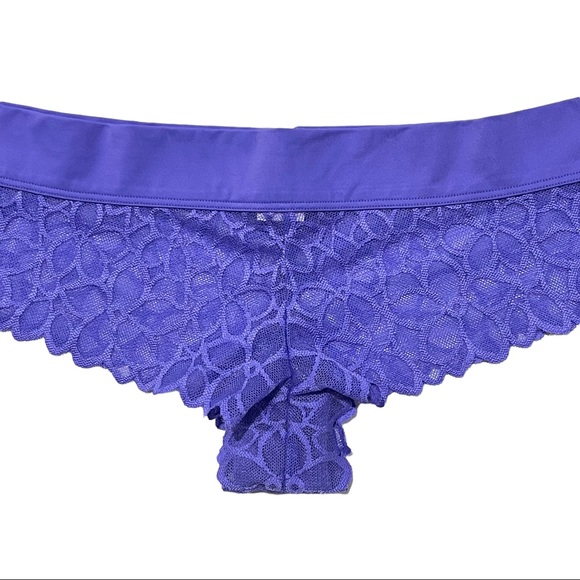 VS PINK 2016 Vintage Extra Low Rise Cheekster Semi-sheer Mesh Floral Print Panty - Picture 2 of 16